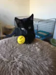 Billy