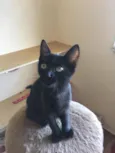 Billy