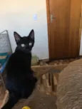 Billy
