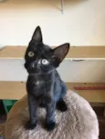 Billy
