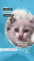 Não tem