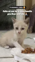 Não tem