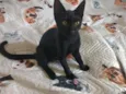 Tom