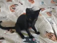 Tom