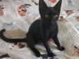 Tom