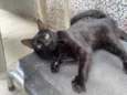 Bluuuuu