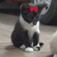 Bia 