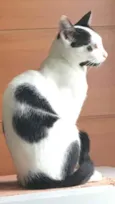 Lili