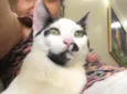 Lili