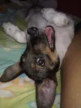 Vicky