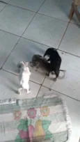Sem Nome