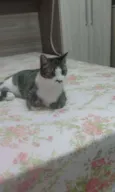 Nina