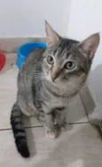 Lena