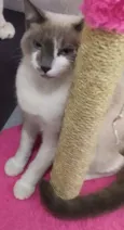 Meg