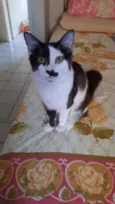 Bigodinho