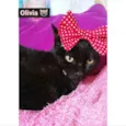 Olivia