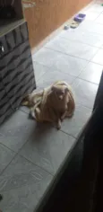 Não sei