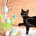 Gatinho para adoção