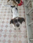 Otavio
