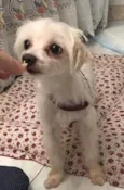 Tito