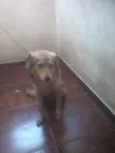 bubu