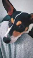 Bella.