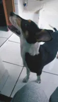 Bella.