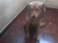 bubu