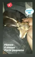 menina
