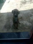 Bili