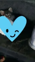Chokito