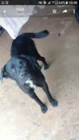 Nina e negão 