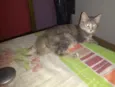 Juliet