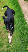 Sorriso