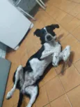 Bob