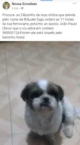 Bidu