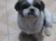 Bidu