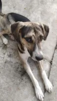 Atlas