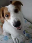 Billy