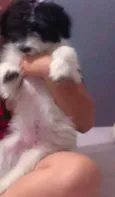 TEKILA 