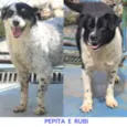 Pepita e Rubi