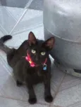 Nina