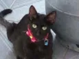 Nina