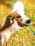 Neguinha