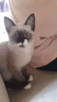 Mimi