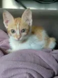 Kenny