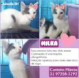 Milka