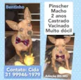 Bentinho