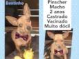 Bentinho