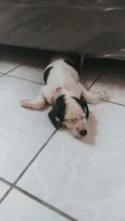 Zoe